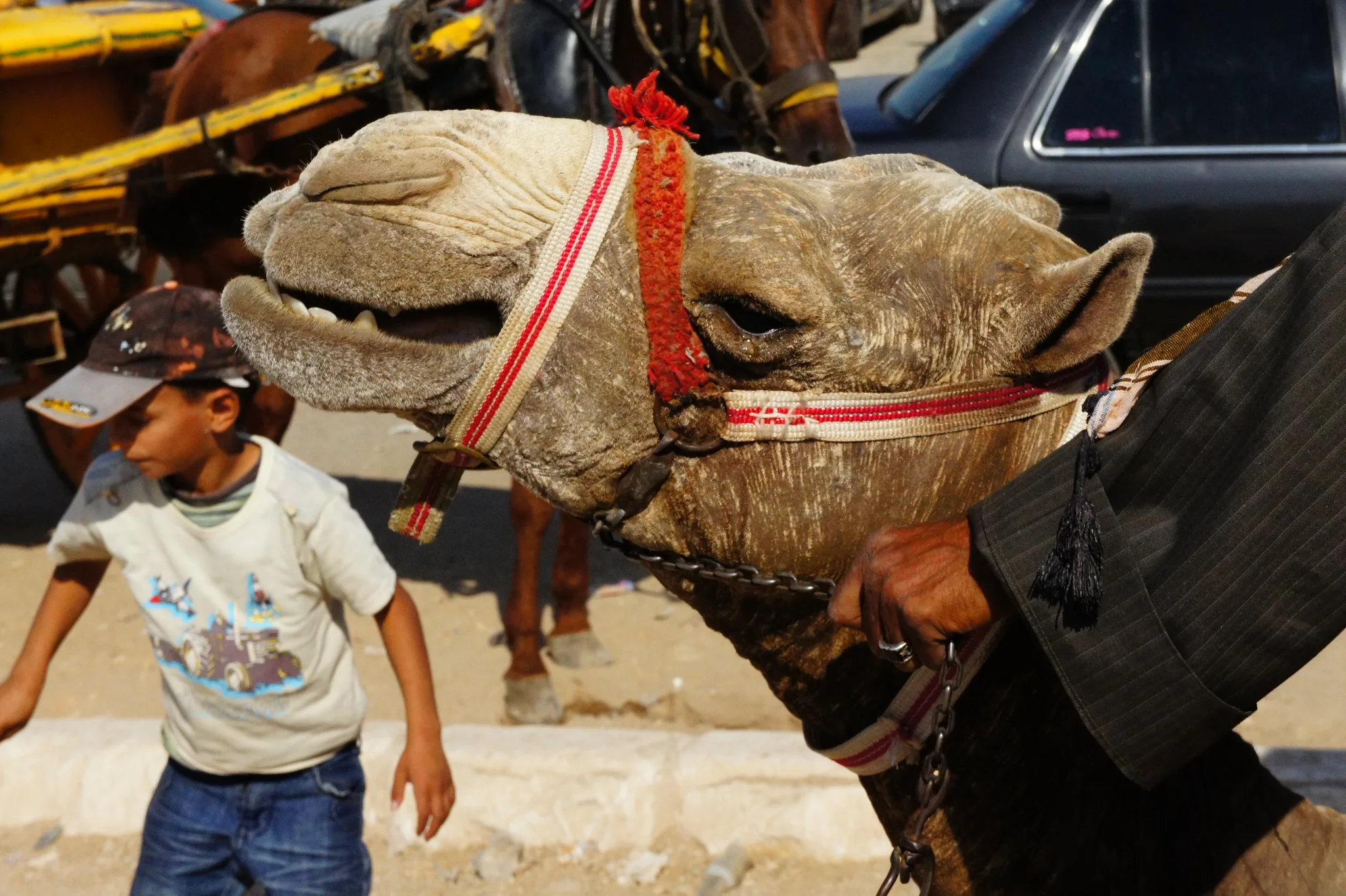 20121027-140732-20260404-0432-480D-73E9-518245CA3AB9