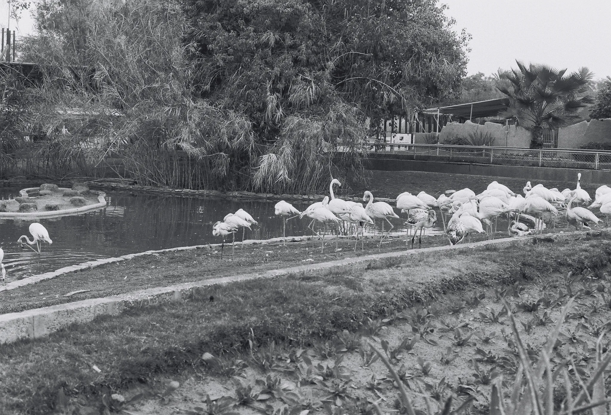 20140227-115756-20260407-0111-390F-BC21-AB7D85198FB8